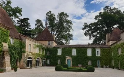 Over wijn: De ziel van Bordeaux – druiven, terroir en appellaties